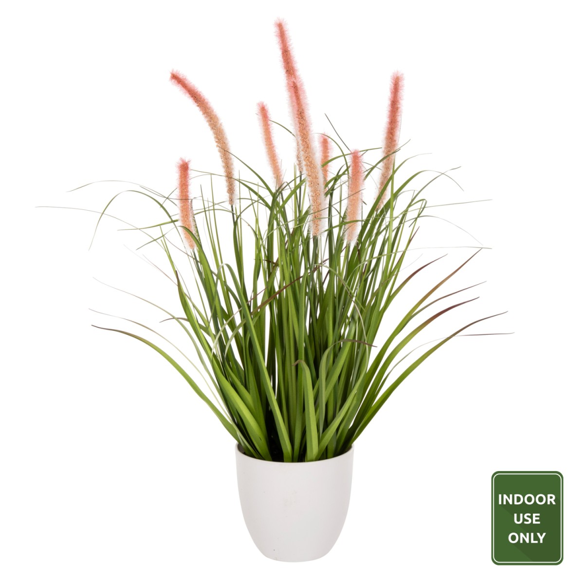 ΔΙΑΚΟΣΜΗΤΙΚΟ ΣΥΝΘΕΤΙΚΟ ΦΥΤΟ HM4029 BRISTLEGRASS ΣΕ ΓΛΑΣΤΡΑ Φ14,5x13-62Yεκ. ΔΙΑΚΟΣΜΗΤΙΚΟ ΣΥΝΘΕΤΙΚΟ ΦΥΤΟ HM4029 BRISTLEGRASS ΣΕ ΓΛΑΣΤΡΑ Φ14,5x13-62Yεκ.