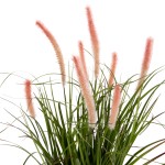 ΔΙΑΚΟΣΜΗΤΙΚΟ ΣΥΝΘΕΤΙΚΟ ΦΥΤΟ HM4029 BRISTLEGRASS ΣΕ ΓΛΑΣΤΡΑ Φ14,5x13-62Yεκ. ΔΙΑΚΟΣΜΗΤΙΚΟ ΣΥΝΘΕΤΙΚΟ ΦΥΤΟ HM4029 BRISTLEGRASS ΣΕ ΓΛΑΣΤΡΑ Φ14,5x13-62Yεκ.