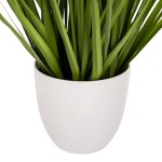 ΔΙΑΚΟΣΜΗΤΙΚΟ ΣΥΝΘΕΤΙΚΟ ΦΥΤΟ HM4029 BRISTLEGRASS ΣΕ ΓΛΑΣΤΡΑ Φ14,5x13-62Yεκ. ΔΙΑΚΟΣΜΗΤΙΚΟ ΣΥΝΘΕΤΙΚΟ ΦΥΤΟ HM4029 BRISTLEGRASS ΣΕ ΓΛΑΣΤΡΑ Φ14,5x13-62Yεκ.