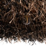 ΦΩΤΙΣΤΙΚΟ ΟΡΟΦΗΣ ORDEM HM4715 ΚΑΠΕΛΟ ΙΝΕΣ SISAL & ΜΠΑΝΑΝΑΣ-ΜΑΥΡΟ & ΦΥΣΙΚΟ Φ75εκ ΦΩΤΙΣΤΙΚΟ ΟΡΟΦΗΣ ORDEM HM4715 ΚΑΠΕΛΟ ΙΝΕΣ SISAL & ΜΠΑΝΑΝΑΣ-ΜΑΥΡΟ & ΦΥΣΙΚΟ Φ75εκ
