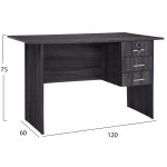 ΓΡΑΦΕΙΟ ΜΕΛΑΜΙΝΗΣ HAYDEN 120x60x75Υεκ.ΜΕ 3 ΣΥΡΤΑΡΙΑ ΣΕ ΑΝΘΡΑΚΙ ΧΡΩΜΑ HM2268.01 ΓΡΑΦΕΙΟ ΜΕΛΑΜΙΝΗΣ HAYDEN 120x60x75Υεκ.ΜΕ 3 ΣΥΡΤΑΡΙΑ ΣΕ ΑΝΘΡΑΚΙ ΧΡΩΜΑ HM2268.01