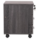 ΣΥΡΤΑΡΙΕΡΑ ΓΡΑΦΕΙΟΥ HAYDEN HM2282.01 ΣΕ ΑΝΘΡΑΚΙ ΧΡΩΜΑ 39.5x40x46.5Υεκ ΣΥΡΤΑΡΙΕΡΑ ΓΡΑΦΕΙΟΥ HAYDEN HM2282.01 ΣΕ ΑΝΘΡΑΚΙ ΧΡΩΜΑ 39.5x40x46.5Υεκ