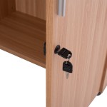 ΝΤΟΥΛΑΠΙ ΓΡΑΦΕΙΟΥ VANCE ΕΠΑΓΓΕΛΜΑΤΙΚΟ ΟΞΙΑ HM2058.11 80x38x118,5 ΝΤΟΥΛΑΠΙ ΓΡΑΦΕΙΟΥ VANCE ΕΠΑΓΓΕΛΜΑΤΙΚΟ ΟΞΙΑ HM2058.11 80x38x118,5