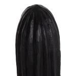 ΔΙΑΚΟΣΜΗΤΙΚΟΣ ΚΑΚΤΟΣ ΔΑΠΕΔΟΥ CACTUS HM4386.01L ΓΥΨΟΣ ΣΕ ΜΑΥΡΟ 63x37x150Υεκ. ΔΙΑΚΟΣΜΗΤΙΚΟΣ ΚΑΚΤΟΣ ΔΑΠΕΔΟΥ CACTUS HM4386.01L ΓΥΨΟΣ ΣΕ ΜΑΥΡΟ 63x37x150Υεκ.