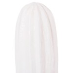 ΔΙΑΚΟΣΜΗΤΙΚΟΣ ΚΑΚΤΟΣ ΔΑΠΕΔΟΥ CACTUS HM4386.02S ΓΥΨΟΣ ΣΕ ΛΕΥΚΟ 42x30x74Υεκ ΔΙΑΚΟΣΜΗΤΙΚΟΣ ΚΑΚΤΟΣ ΔΑΠΕΔΟΥ CACTUS HM4386.02S ΓΥΨΟΣ ΣΕ ΛΕΥΚΟ 42x30x74Υεκ