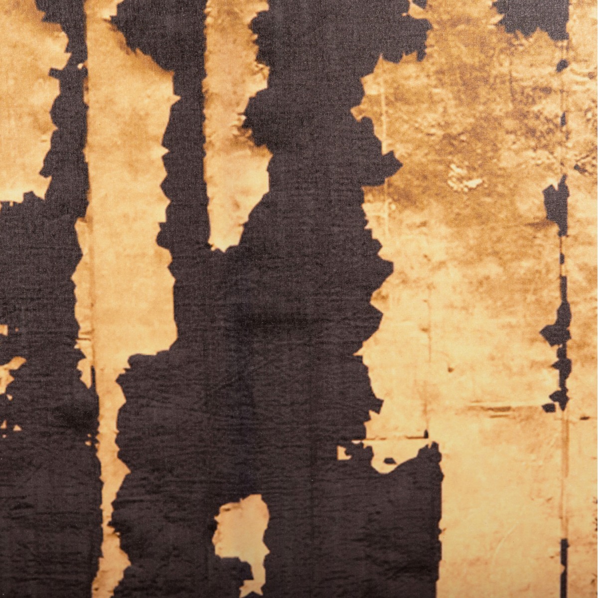 ΠΙΝΑΚΑΣ TOIXOY ΣΕΙΡΑ GOBI HM4782 ΕΚΤΥΠΩΜΕΝΟΣ ΚΑΜΒΑΣ 98x2,5(πάχος)x68Υεκ.