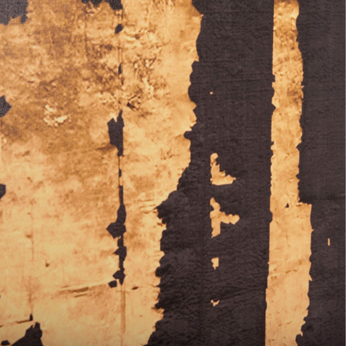 ΠΙΝΑΚΑΣ TOIXOY ΣΕΙΡΑ GOBI HM4782 ΕΚΤΥΠΩΜΕΝΟΣ ΚΑΜΒΑΣ 98x2,5(πάχος)x68Υεκ.