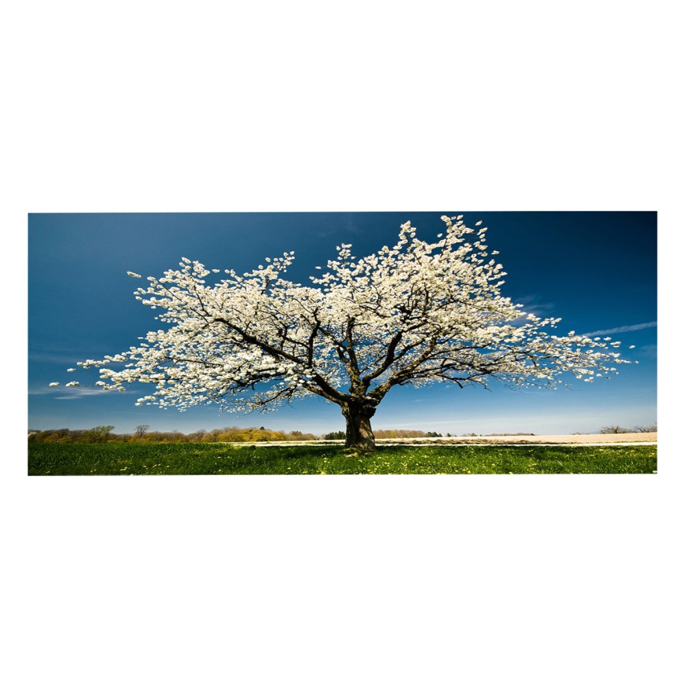 ΠΙΝΑΚΑΣ TOIXOY ΣΕΙΡΑ GOBI HM4792 ΕΚΤΥΠΩΜΕΝΟΣ ΚΑΜΒΑΣ 120x3(πάχος)x50Υεκ.