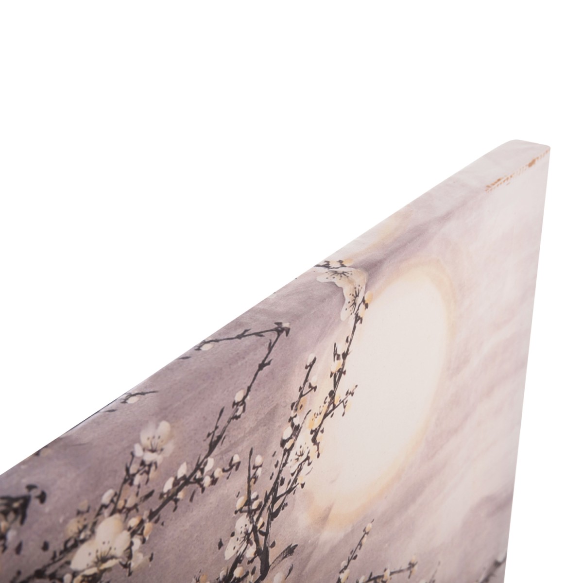 ΠΙΝΑΚΑΣ TOIXOY ΣΕΙΡΑ GOBI HM4796 ΕΚΤΥΠΩΜΕΝΟΣ ΚΑΜΒΑΣ 120x2,5(πάχος)x49Υεκ.