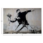 ΠΙΝΑΚΑΣ TOIXOY ΣΕΙΡΑ GOBI HM4817 ΕΚΤΥΠΩΜΕΝΟΣ ΚΑΜΒΑΣ 70x3(πάχος)x50Yεκ.