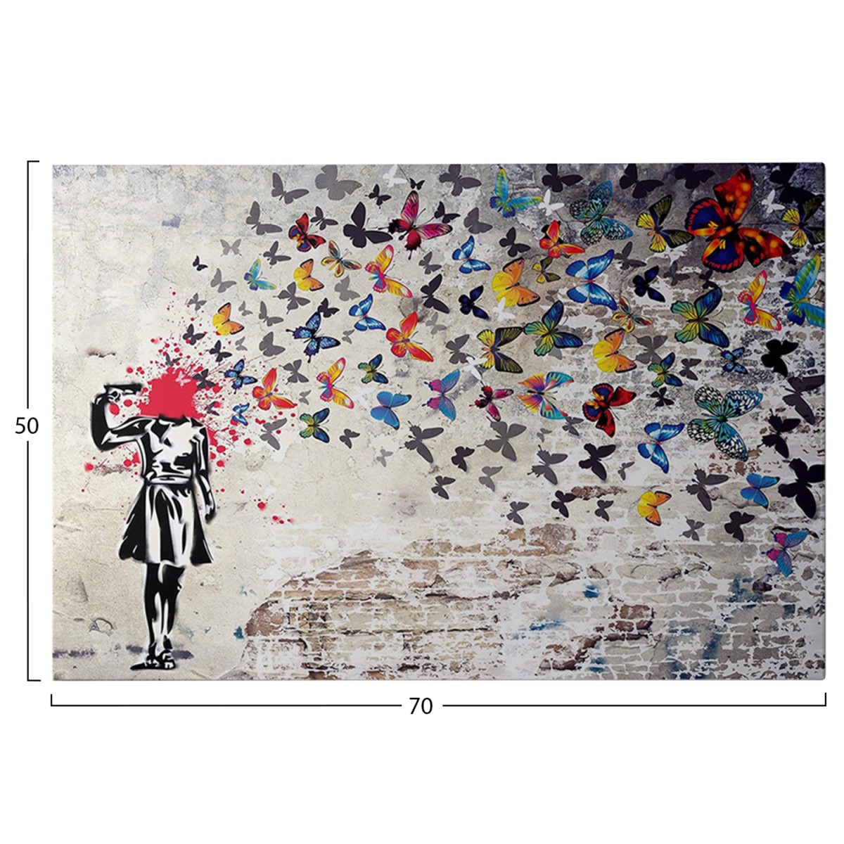 ΠΙΝΑΚΑΣ TOIXOY ΣΕΙΡΑ GOBI HM4820 ΕΚΤΥΠΩΜΕΝΟΣ ΚΑΜΒΑΣ 70x3(πάχος)x50Yεκ.