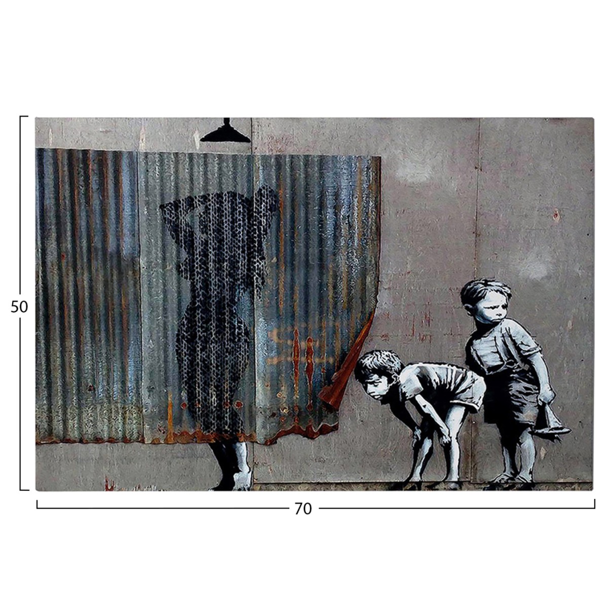 ΠΙΝΑΚΑΣ TOIXOY ΣΕΙΡΑ GOBI HM4821 ΕΚΤΥΠΩΜΕΝΟΣ ΚΑΜΒΑΣ 70x3(πάχος)x50Yεκ.