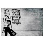 ΠΙΝΑΚΑΣ TOIXOY ΣΕΙΡΑ GOBI HM4831 ΕΚΤΥΠΩΜΕΝΟΣ ΚΑΜΒΑΣ 70x3(πάχος)x50Yεκ.