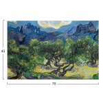 ΠΙΝΑΚΑΣ TOIXOY ΣΕΙΡΑ GOBI HM4847 ΕΚΤΥΠΩΜΕΝΟΣ ΚΑΜΒΑΣ 70x3(πάχος)x45Yεκ.