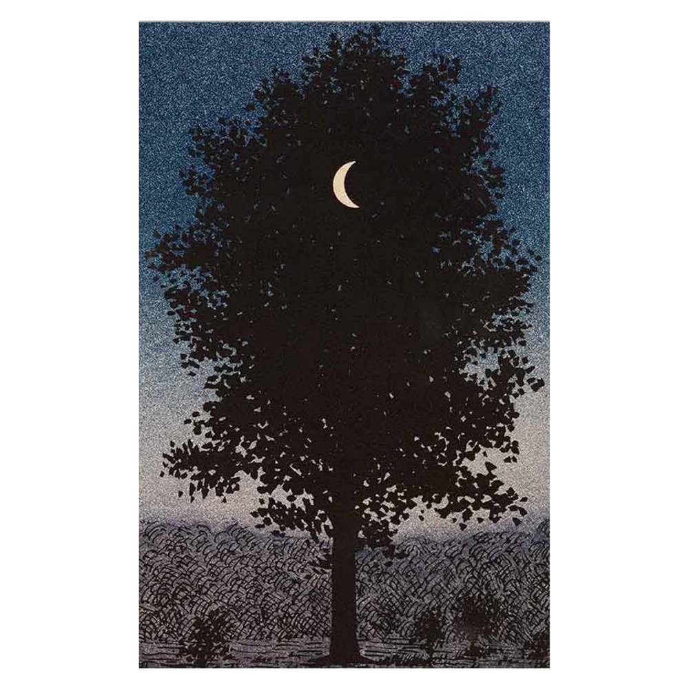 ΠΙΝΑΚΑΣ TOIXOY ΣΕΙΡΑ GOBI HM4850 ΕΚΤΥΠΩΜΕΝΟΣ ΚΑΜΒΑΣ 45x3(πάχος)x70Yεκ.