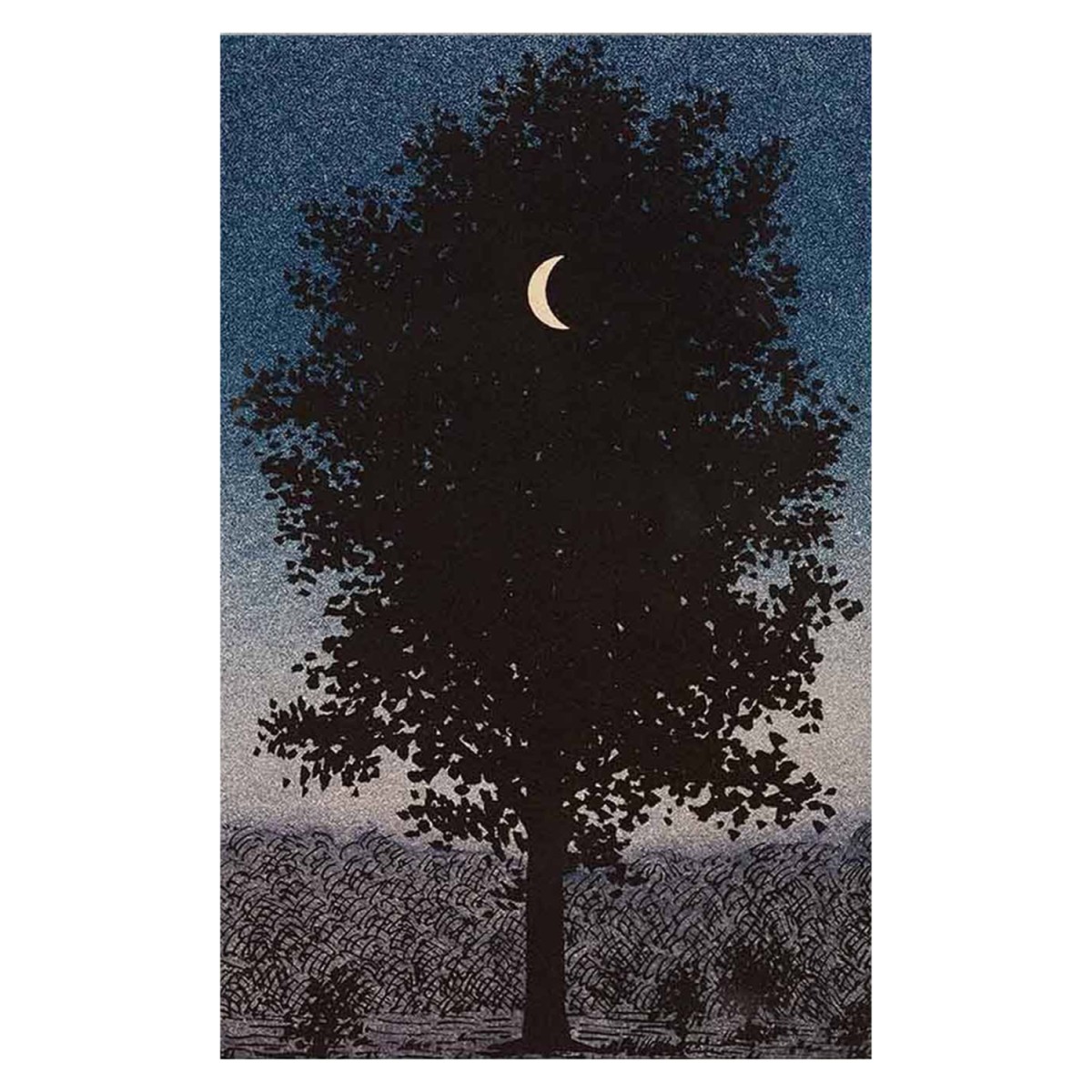 ΠΙΝΑΚΑΣ TOIXOY ΣΕΙΡΑ GOBI HM4850 ΕΚΤΥΠΩΜΕΝΟΣ ΚΑΜΒΑΣ 45x3(πάχος)x70Yεκ.