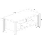 Τραπέζι σαλονιού Tracy pakoworld λευκό-γκρι 120x60x48.5εκ Τραπέζι σαλονιού Tracy pakoworld λευκό-γκρι 120x60x48.5εκ