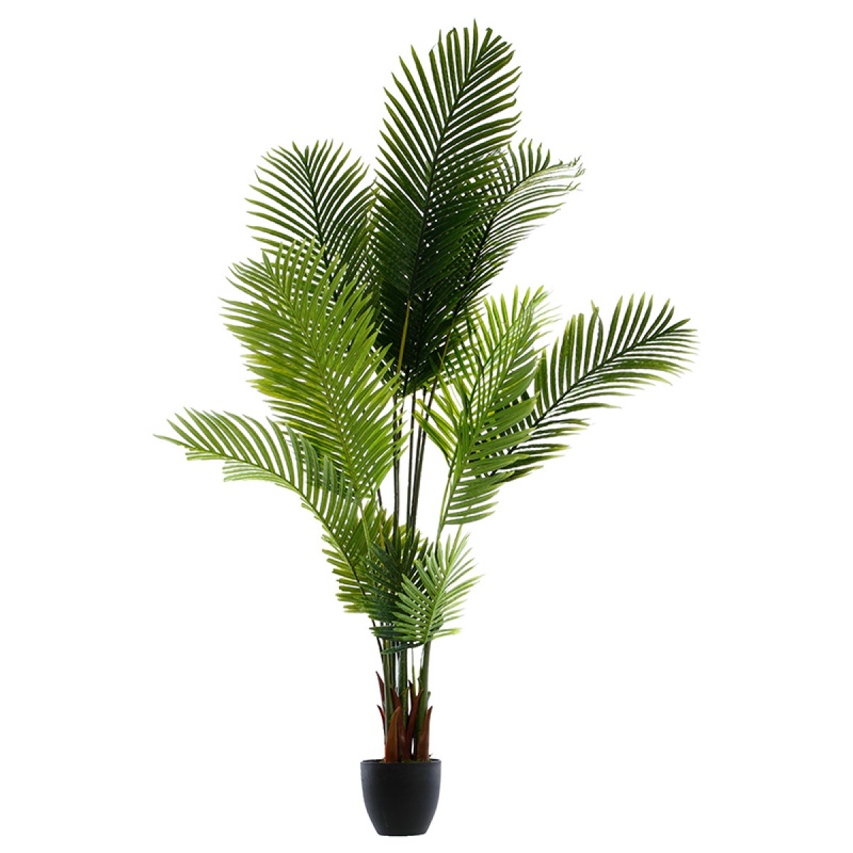Φυτό σε γλάστρα Green9 pakoworld 114x105x180εκ Φυτό σε γλάστρα Green9 pakoworld 114x105x180εκ