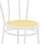Καρέκλα Βιέννης pakoworld pe rattan μπεζ-μέταλλο λευκό Καρέκλα Βιέννης pakoworld pe rattan μπεζ-μέταλλο λευκό