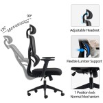 Καρέκλα γραφείου διευθυντή Cadrey pakoworld mesh μαύρο 67x64x120-128εκ