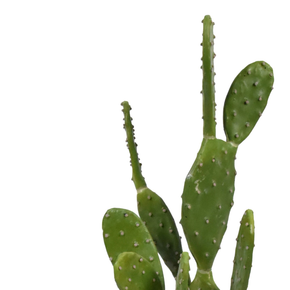 Διακοσμητικό φυτό Cactus σε γλάστρα Inart πράσινο pp Υ64εκ Διακοσμητικό φυτό Cactus σε γλάστρα Inart πράσινο pp Υ64εκ