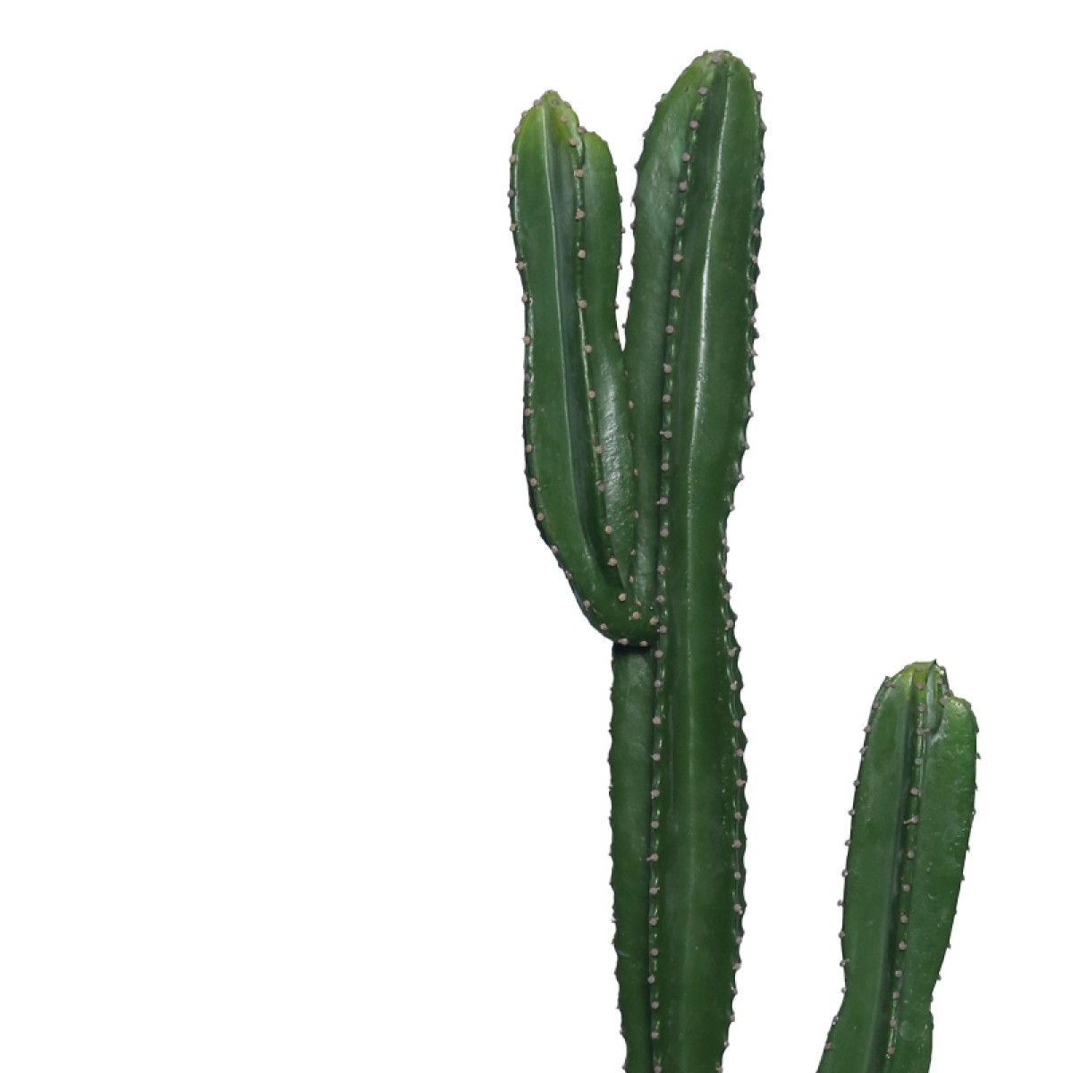 Διακοσμητικό φυτό Cactus I σε γλάστρα Inart πράσινο pp Υ155εκ Διακοσμητικό φυτό Cactus I σε γλάστρα Inart πράσινο pp Υ155εκ