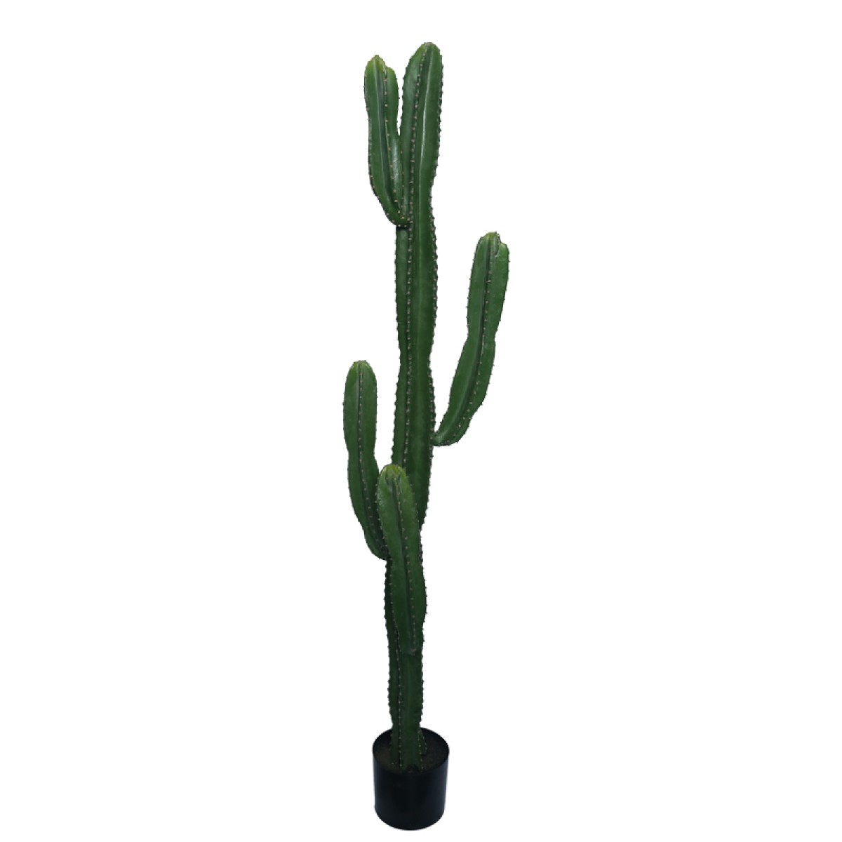 Διακοσμητικό φυτό Cactus I σε γλάστρα Inart πράσινο pp Υ155εκ Διακοσμητικό φυτό Cactus I σε γλάστρα Inart πράσινο pp Υ155εκ