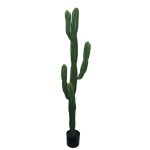 Διακοσμητικό φυτό Cactus I σε γλάστρα Inart πράσινο pp Υ155εκ Διακοσμητικό φυτό Cactus I σε γλάστρα Inart πράσινο pp Υ155εκ