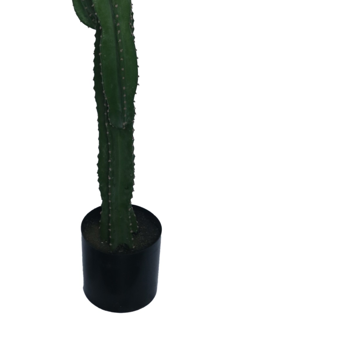 Διακοσμητικό φυτό Cactus I σε γλάστρα Inart πράσινο pp Υ155εκ Διακοσμητικό φυτό Cactus I σε γλάστρα Inart πράσινο pp Υ155εκ