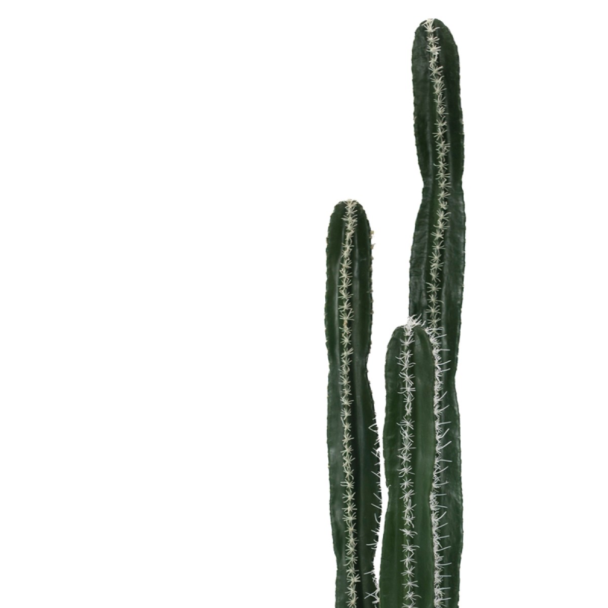 Διακοσμητικό φυτό Cactus II σε γλάστρα Inart πράσινο pp Υ155εκ Διακοσμητικό φυτό Cactus II σε γλάστρα Inart πράσινο pp Υ155εκ