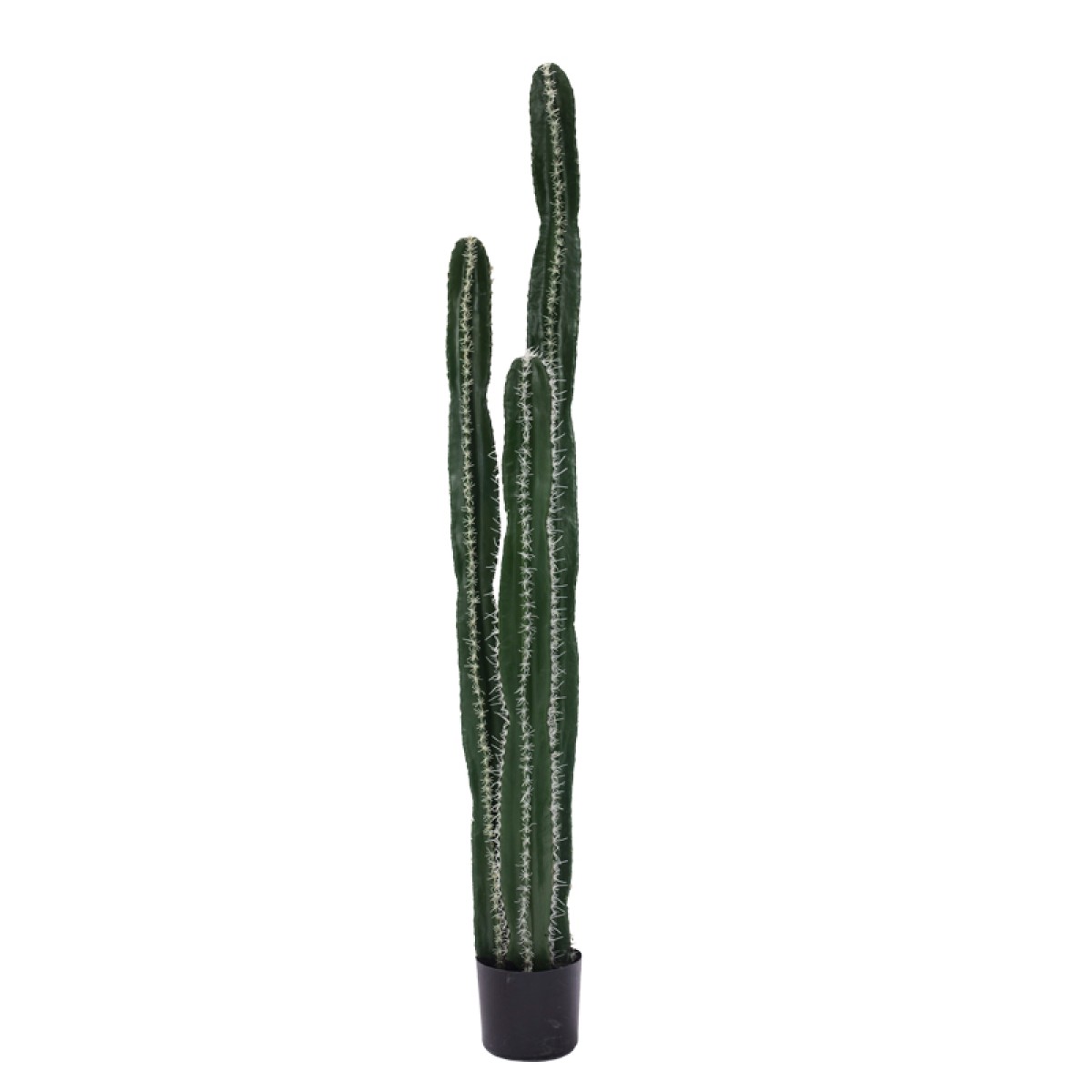 Διακοσμητικό φυτό Cactus II σε γλάστρα Inart πράσινο pp Υ155εκ Διακοσμητικό φυτό Cactus II σε γλάστρα Inart πράσινο pp Υ155εκ