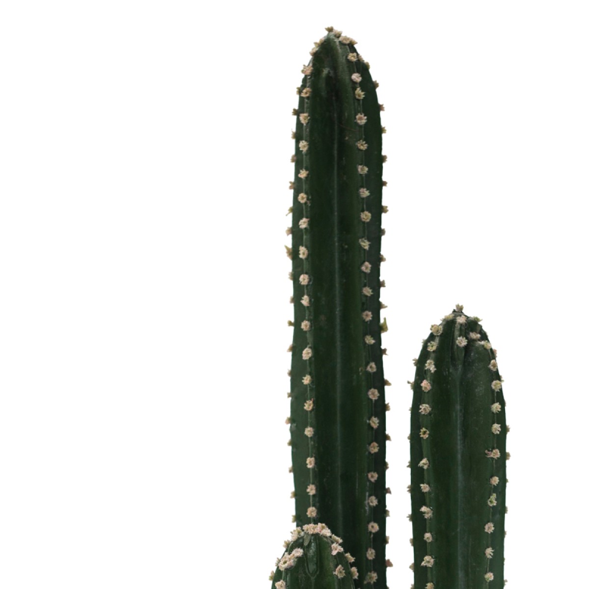 Διακοσμητικό φυτό Cactus III σε γλάστρα Inart πράσινο pp Υ85εκ Διακοσμητικό φυτό Cactus III σε γλάστρα Inart πράσινο pp Υ85εκ