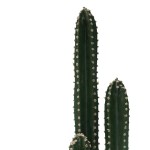 Διακοσμητικό φυτό Cactus III σε γλάστρα Inart πράσινο pp Υ85εκ Διακοσμητικό φυτό Cactus III σε γλάστρα Inart πράσινο pp Υ85εκ