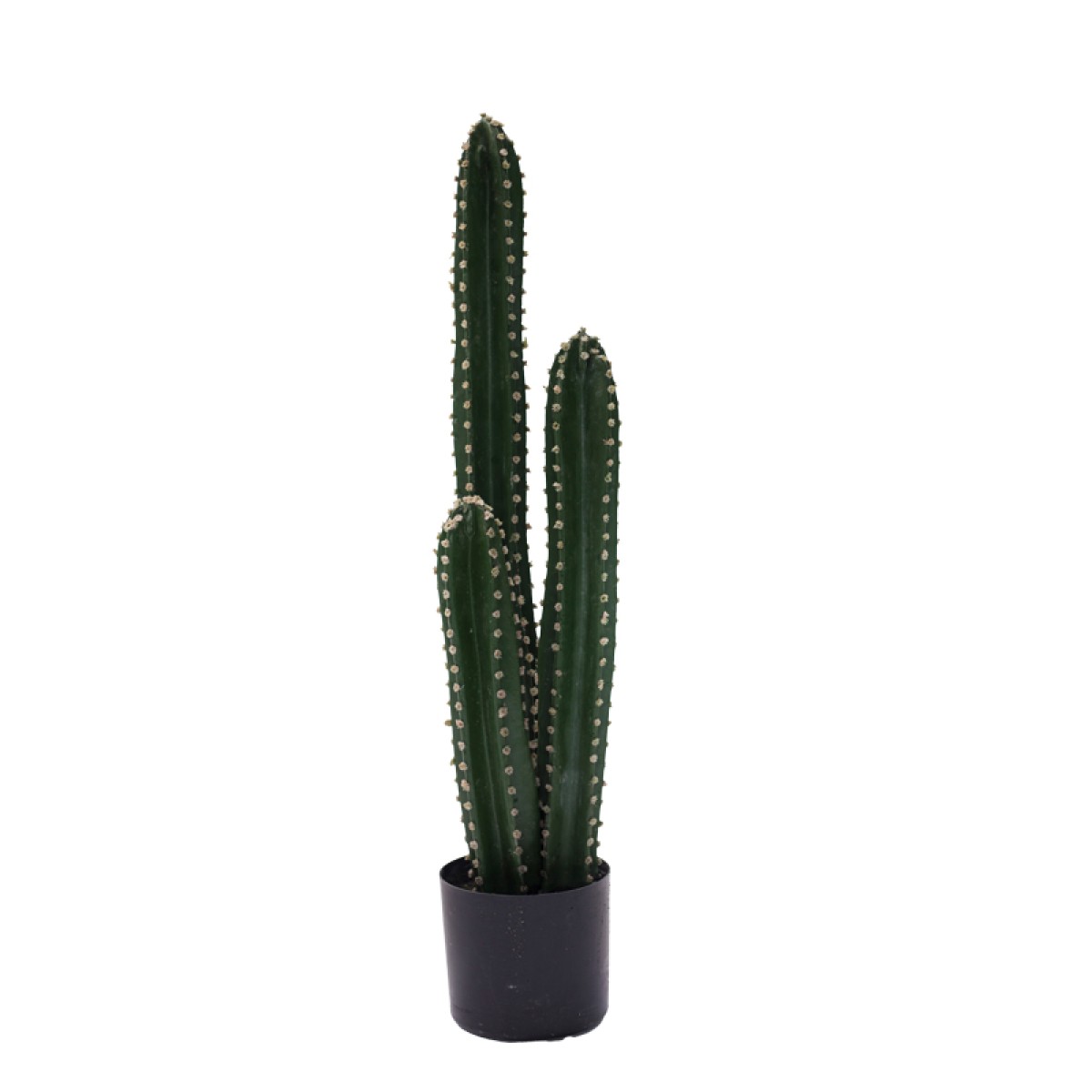 Διακοσμητικό φυτό Cactus III σε γλάστρα Inart πράσινο pp Υ85εκ Διακοσμητικό φυτό Cactus III σε γλάστρα Inart πράσινο pp Υ85εκ