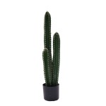 Διακοσμητικό φυτό Cactus III σε γλάστρα Inart πράσινο pp Υ85εκ Διακοσμητικό φυτό Cactus III σε γλάστρα Inart πράσινο pp Υ85εκ