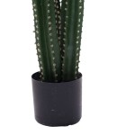Διακοσμητικό φυτό Cactus III σε γλάστρα Inart πράσινο pp Υ85εκ Διακοσμητικό φυτό Cactus III σε γλάστρα Inart πράσινο pp Υ85εκ