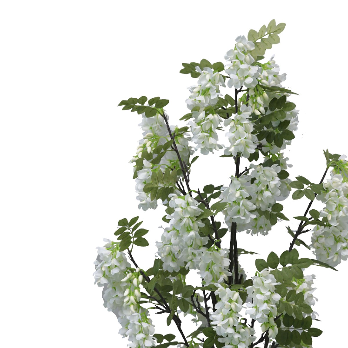 Διακοσμητικό φυτό Bean flowers σε γλάστρα Inart λευκό pp Υ125εκ Διακοσμητικό φυτό Bean flowers σε γλάστρα Inart λευκό pp Υ125εκ