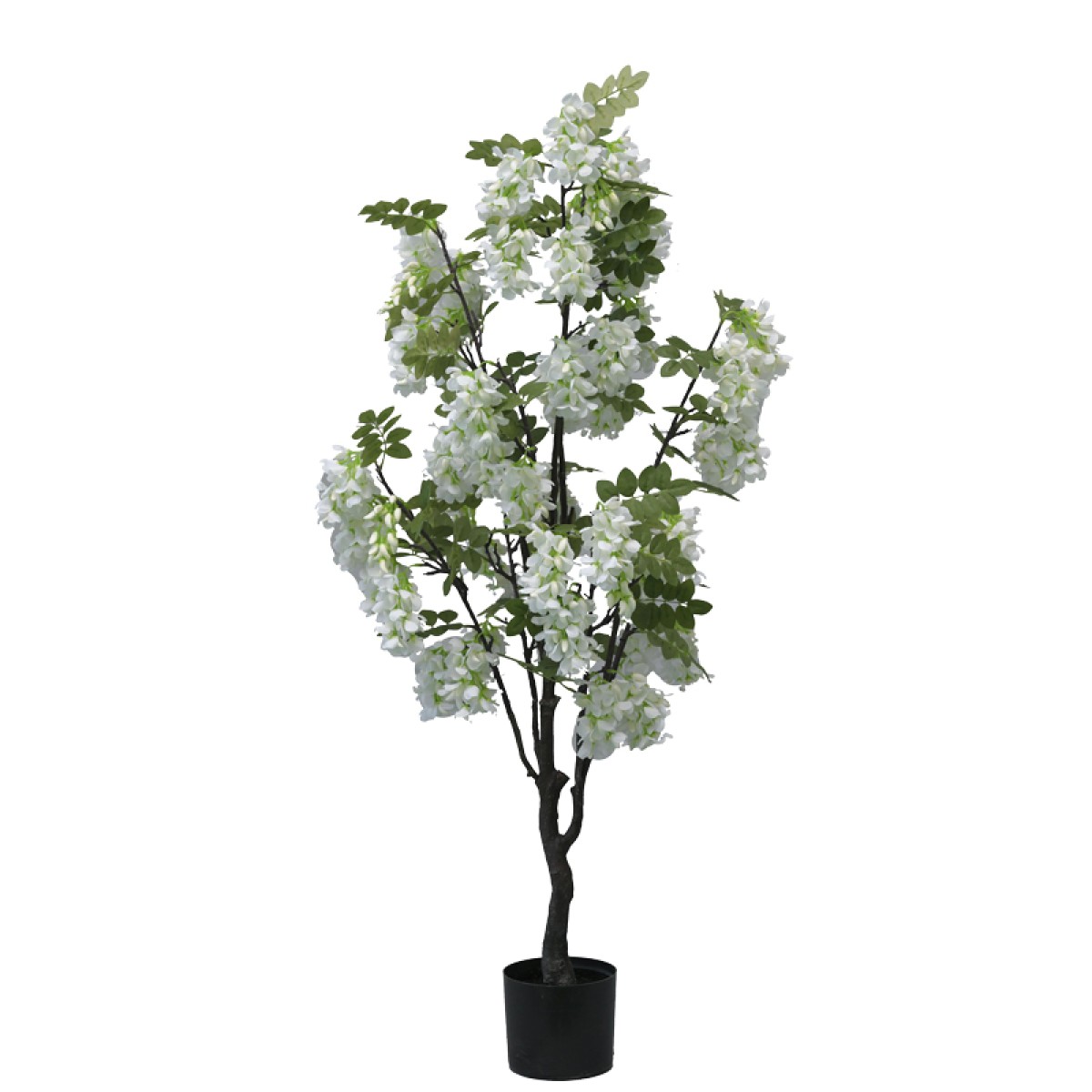 Διακοσμητικό φυτό Bean flowers σε γλάστρα Inart λευκό pp Υ125εκ Διακοσμητικό φυτό Bean flowers σε γλάστρα Inart λευκό pp Υ125εκ