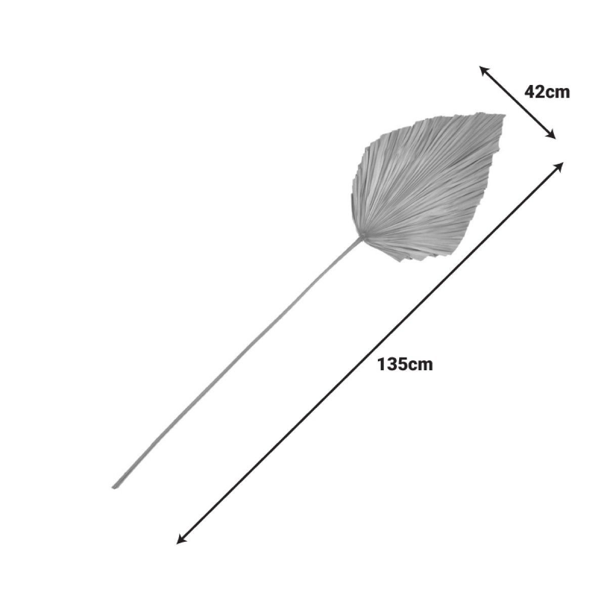 Διακοσμητικό φύλλο Walsy Inart palm leaf σε φυσική απόχρωση Υ135 εκ Διακοσμητικό φύλλο Walsy Inart palm leaf σε φυσική απόχρωση Υ135 εκ