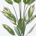 Διακοσμητικό φυτό σε γλάστρα Aglaonema Inart πράσινο Φ80x150εκ