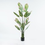 Διακοσμητικό φυτό σε γλάστρα Aglaonema Inart πράσινο Φ80x150εκ