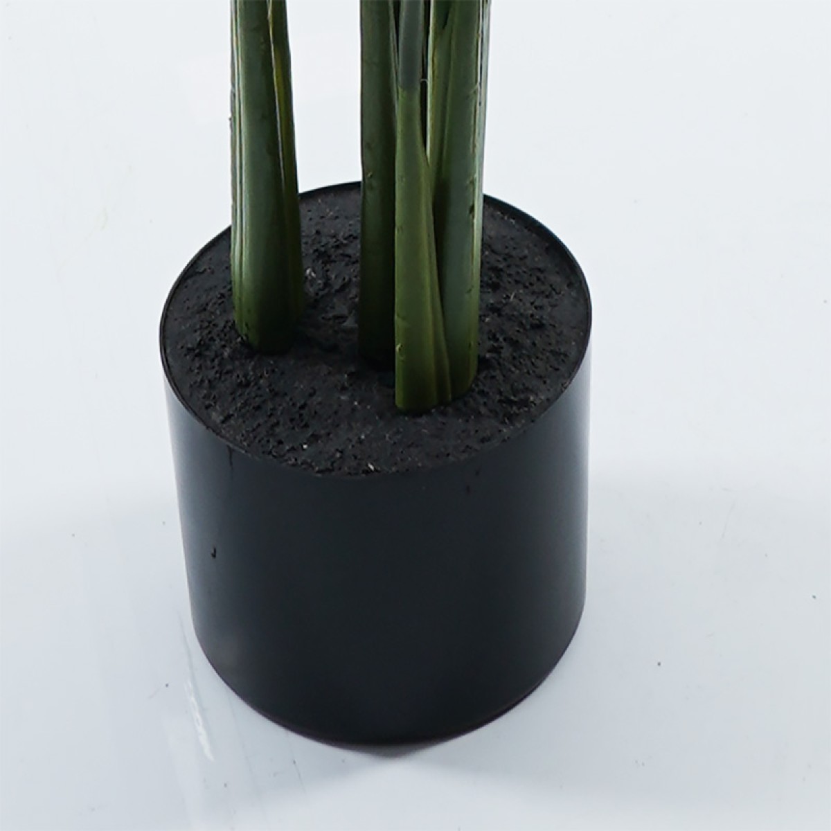 Διακοσμητικό φυτό σε γλάστρα Calathea Inart πράσινο Φ68x120εκ