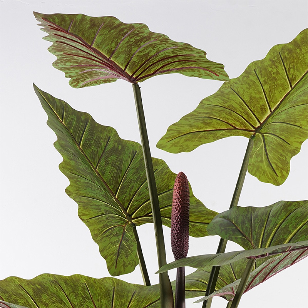 Διακοσμητικό φυτό σε γλάστρα Wentii Inart πράσινο Φ130x180εκ