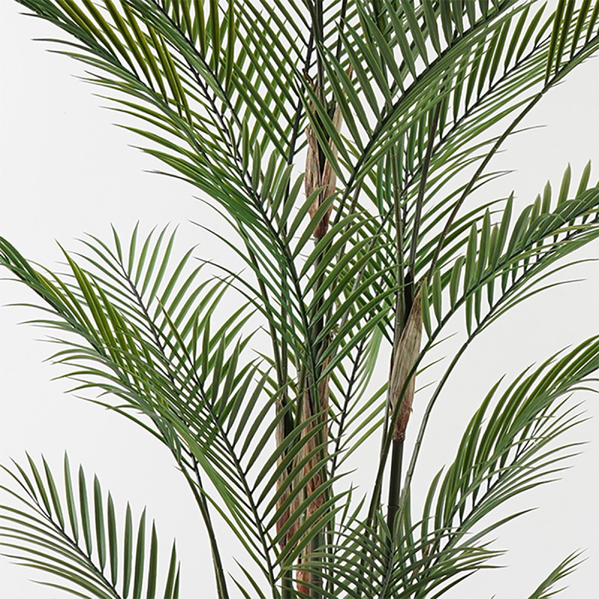 Διακοσμητικό φυτό σε γλάστρα Kwai Inart πράσινο Φ125x180εκ