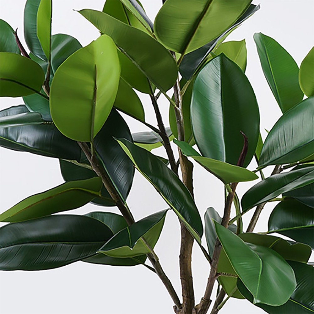 Διακοσμητικό φυτό σε γλάστρα Ficus Lyrata Inart πράσινο Φ70x130εκ