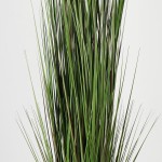 Διακοσμητικό φυτό σε γλάστρα Βoxwood Inart πράσινο Φ46x150εκ