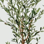 Διακοσμητικό φυτό σε γλάστρα Olia Inart πράσινο 65x55x180εκ