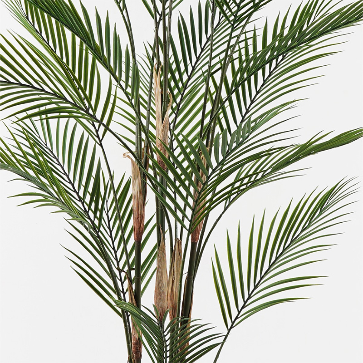 Διακοσμητικό φυτό σε γλάστρα Kwai Inart πράσινο Φ92x150εκ