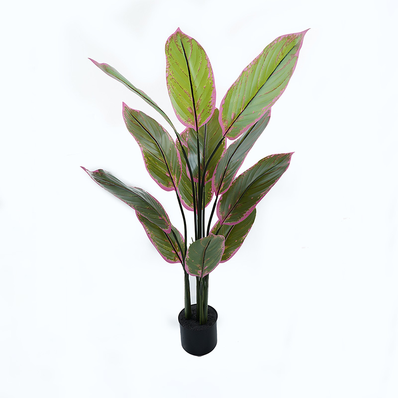 Διακοσμητικό φυτό σε γλάστρα Calathea Inart πράσινο Φ68x120εκ